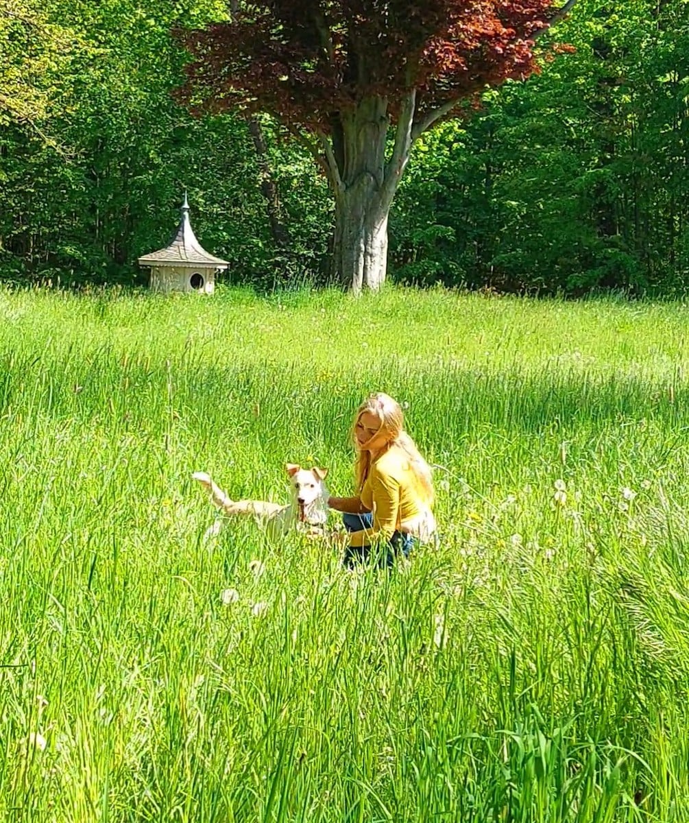 Christin Gellert mit Hund Vitalberatung Vitalberatung beim Hund von Christin Gellert