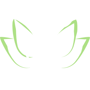 Bioenergetische Vitalberatung Icon