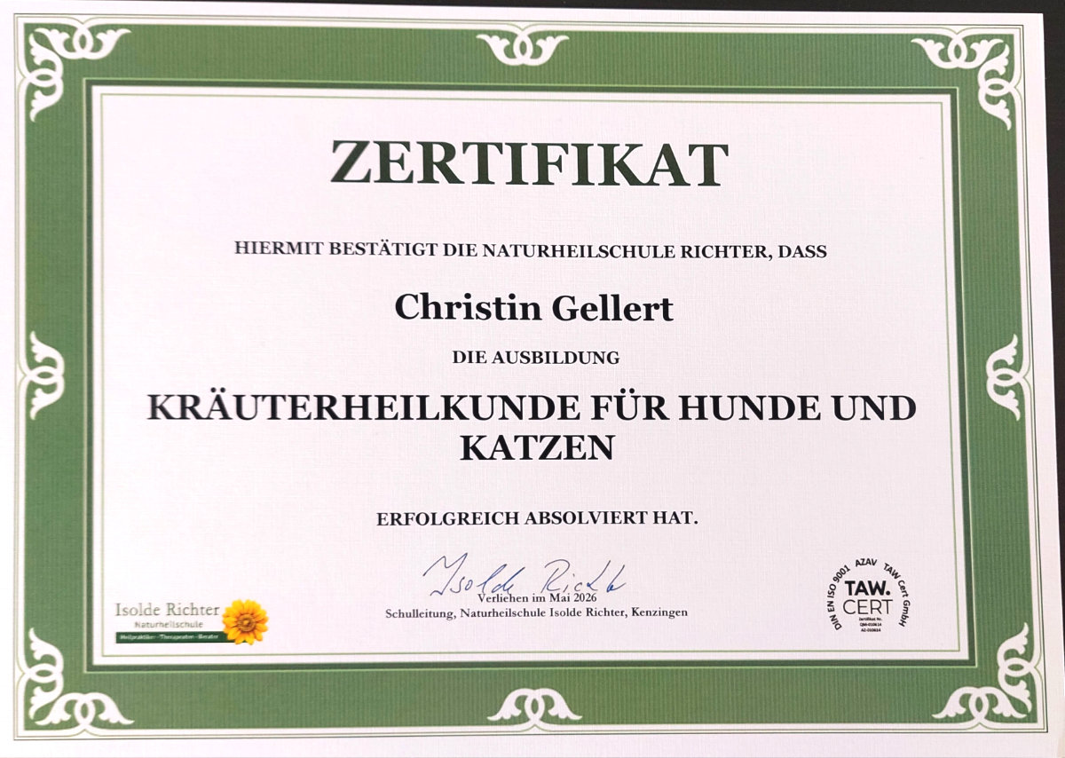 Zertifikat für Kräuterheilkunde für Hunde und Katzen Christin Gellert